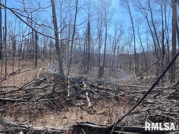 $540,000 | East 1950th Road, Dennison, IL 62423