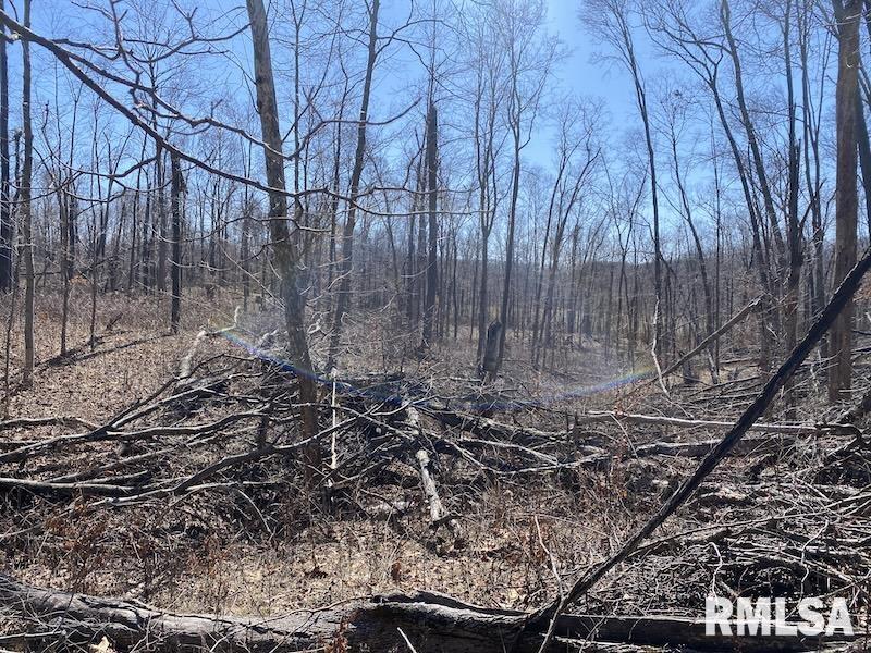 East 1950th Road Dennison, IL 62423 - Photo 50 of 79