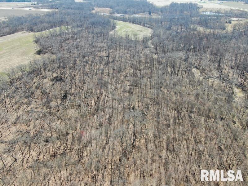 East 1950th Road Dennison, IL 62423 - Photo 5 of 79