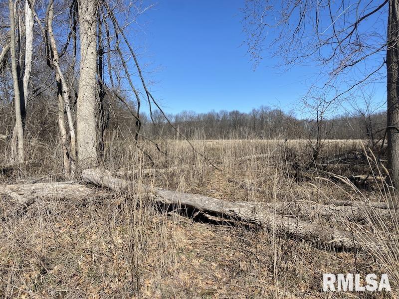 East 1950th Road Dennison, IL 62423 - Photo 51 of 79