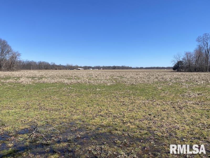 East 1950th Road Dennison, IL 62423 - Photo 53 of 79