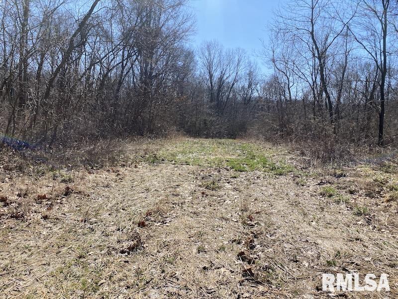 East 1950th Road Dennison, IL 62423 - Photo 55 of 79