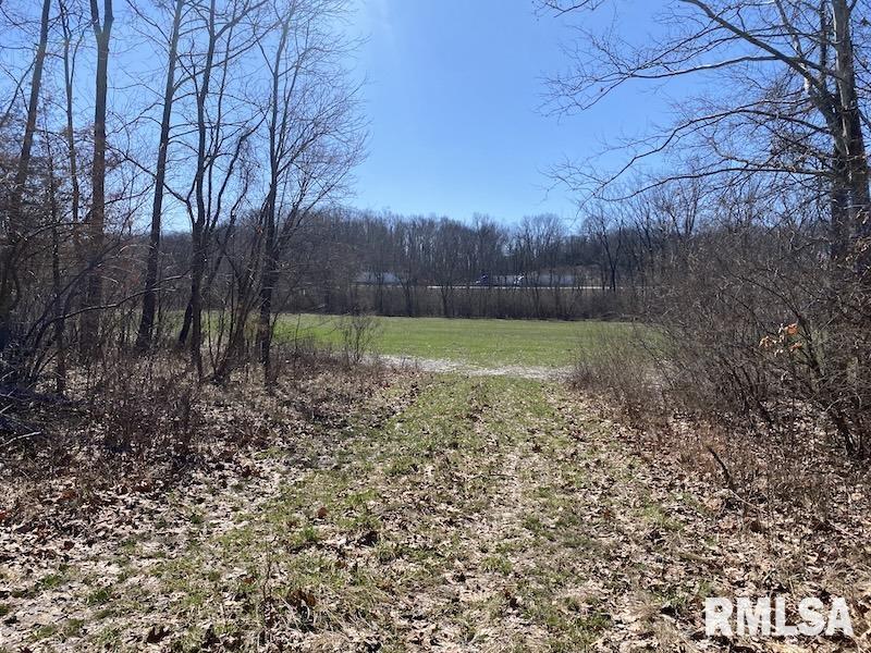 East 1950th Road Dennison, IL 62423 - Photo 58 of 79