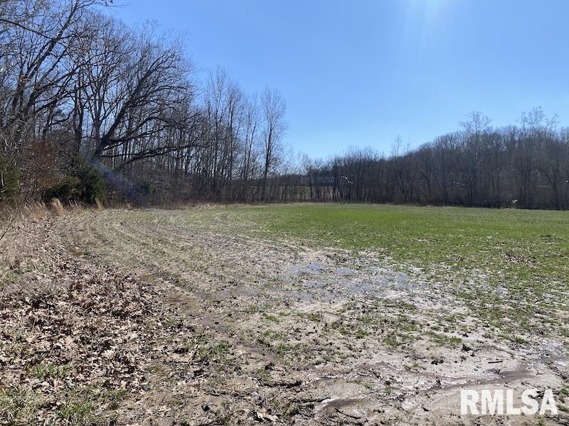 East 1950th Road Dennison, IL 62423 - Photo 59 of 79