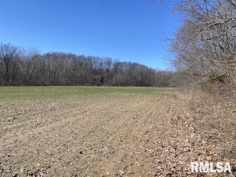 East 1950th Road Dennison, IL 62423 - Photo 60 of 79