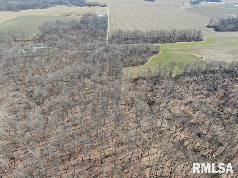 East 1950th Road Dennison, IL 62423 - Photo 6 of 79