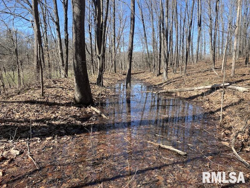 East 1950th Road Dennison, IL 62423 - Photo 61 of 79