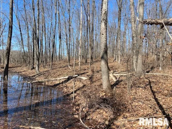 $540,000 | East 1950th Road, Dennison, IL 62423