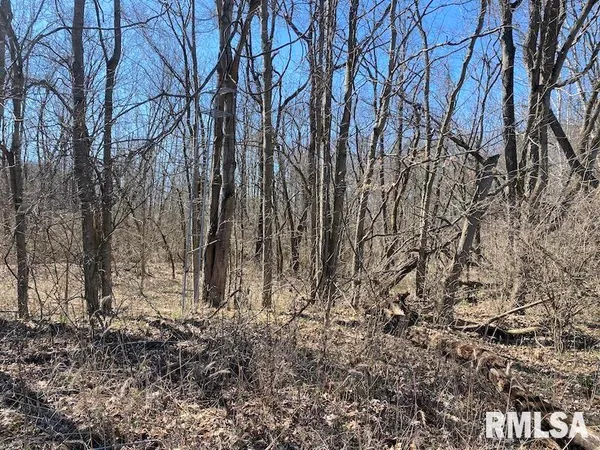 $540,000 | East 1950th Road, Dennison, IL 62423