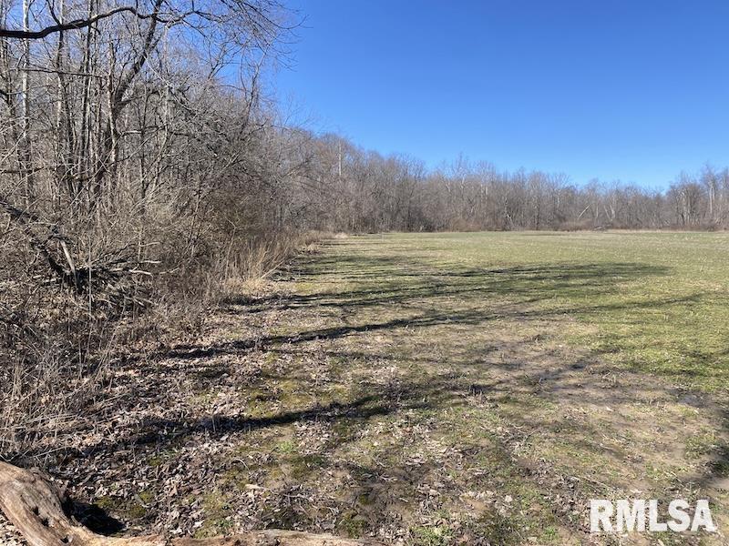 East 1950th Road Dennison, IL 62423 - Photo 65 of 79