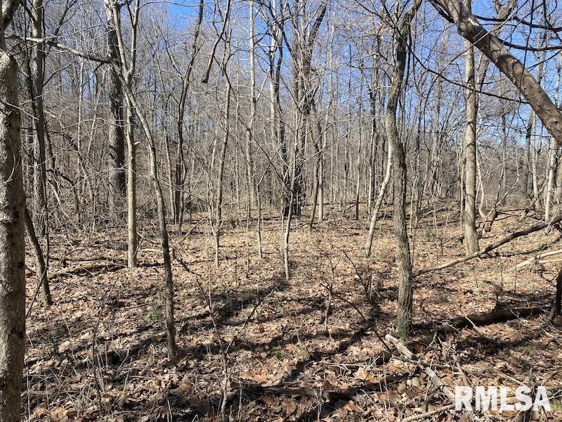 East 1950th Road Dennison, IL 62423 - Photo 69 of 79