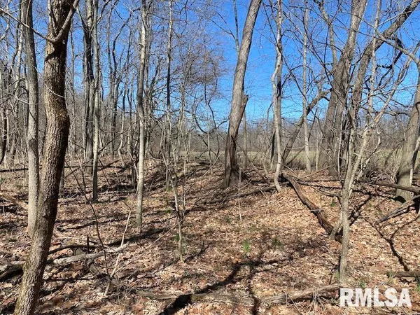 $540,000 | East 1950th Road, Dennison, IL 62423