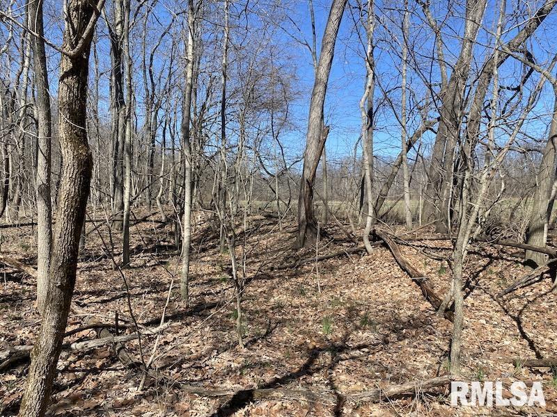 East 1950th Road Dennison, IL 62423 - Photo 70 of 79