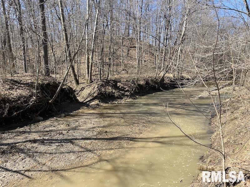 East 1950th Road Dennison, IL 62423 - Photo 71 of 79