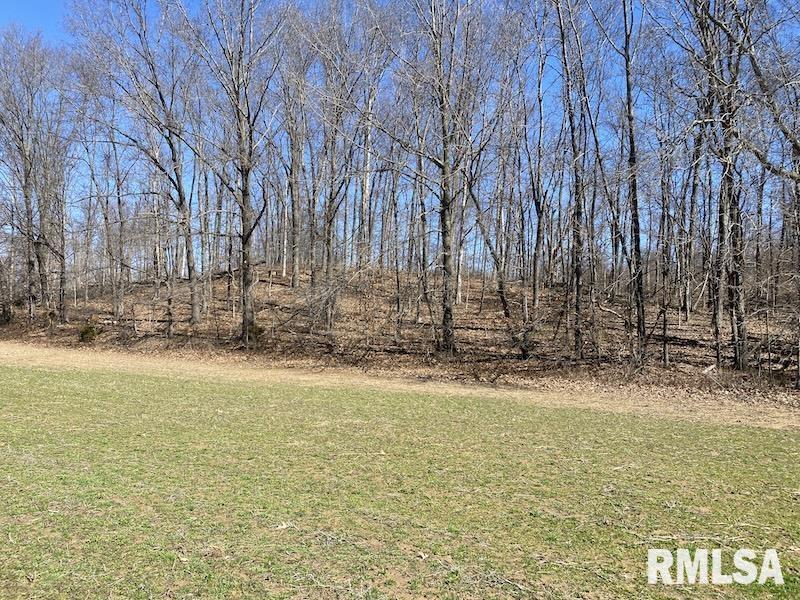 East 1950th Road Dennison, IL 62423 - Photo 73 of 79