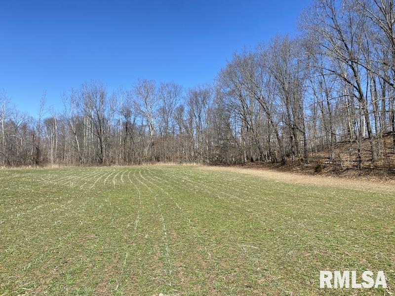 East 1950th Road Dennison, IL 62423 - Photo 74 of 79