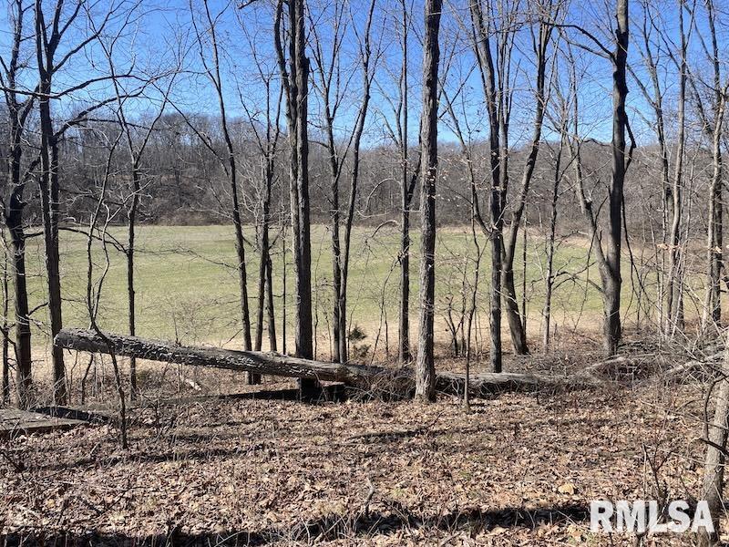 East 1950th Road Dennison, IL 62423 - Photo 75 of 79