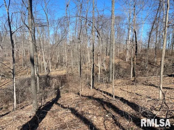 $540,000 | East 1950th Road, Dennison, IL 62423