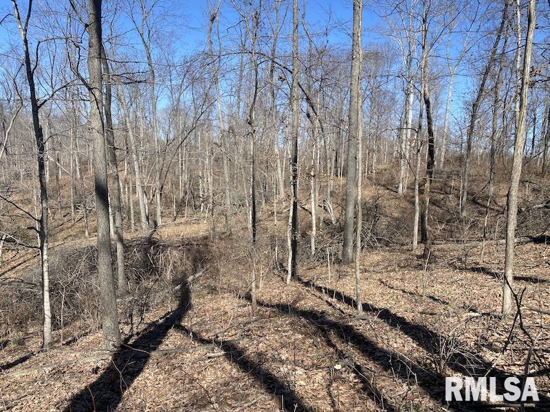 East 1950th Road Dennison, IL 62423 - Photo 76 of 79