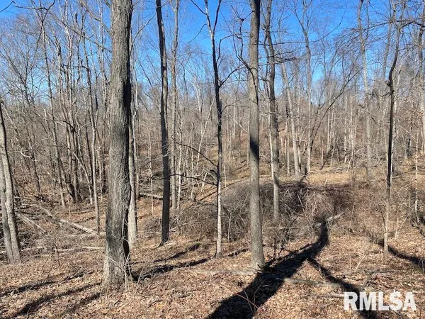$540,000 | East 1950th Road, Dennison, IL 62423