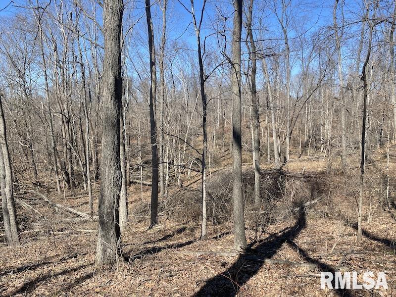 East 1950th Road Dennison, IL 62423 - Photo 77 of 79