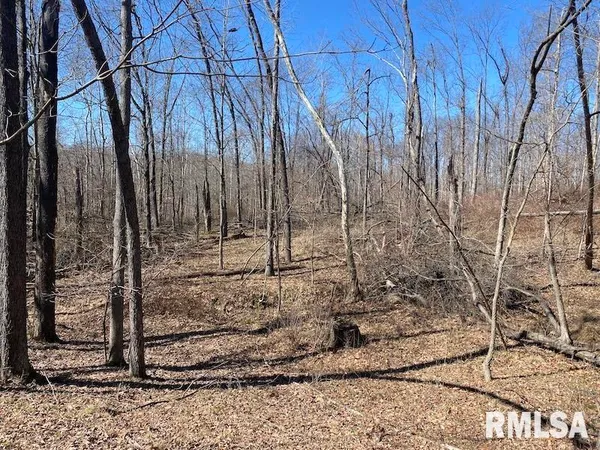 $540,000 | East 1950th Road, Dennison, IL 62423