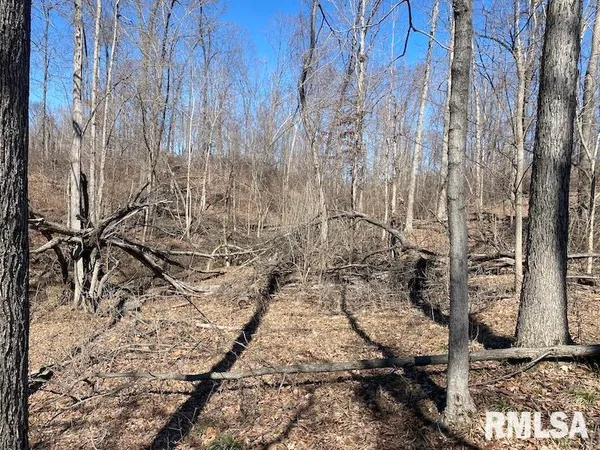 $540,000 | East 1950th Road, Dennison, IL 62423