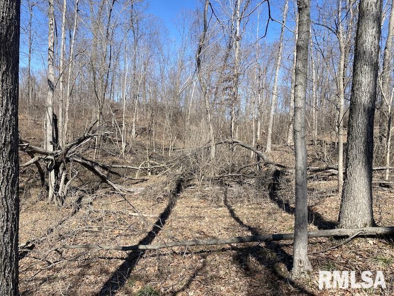 East 1950th Road Dennison, IL 62423 - Photo 79 of 79