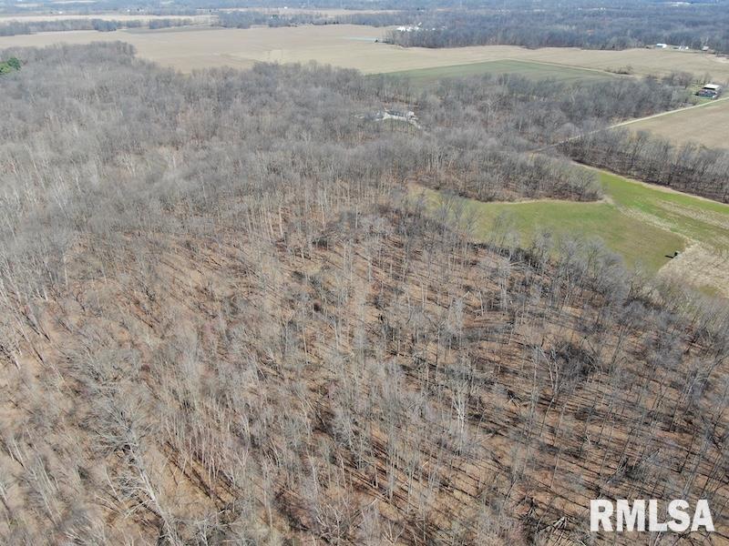 East 1950th Road Dennison, IL 62423 - Photo 10 of 79