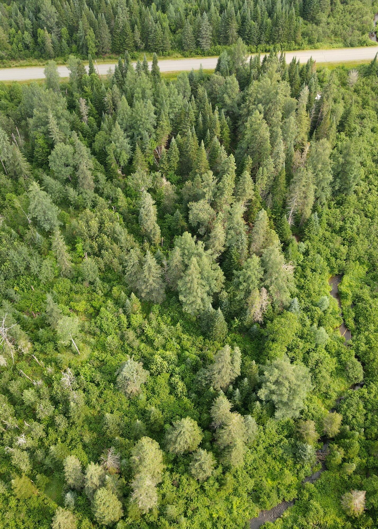 Lot 40 Sheen Road Caribou, ME 04736 - Photo 4 of 6 dji_fly_20230718_094030_357_168968778675