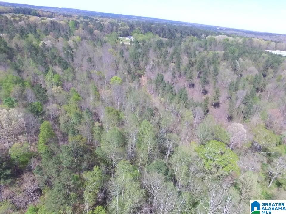 0 County Road 60, Unit 1 Heflin, AL 36264 - Photo 7 of 14
