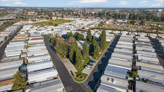 a view of a park with large trees