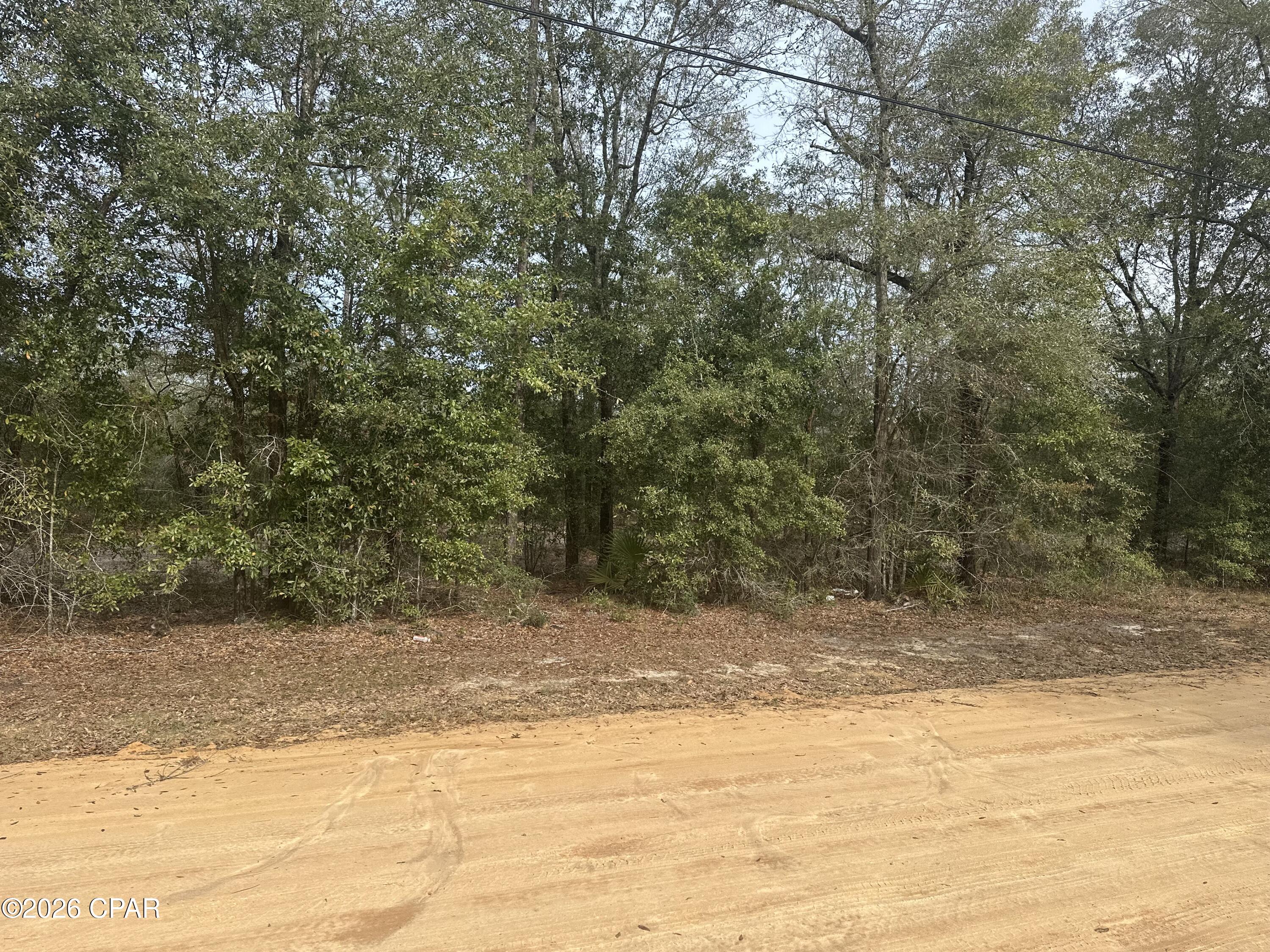 13111 Timbercrest Road Fountain, FL 32438 - Photo 3 of 9