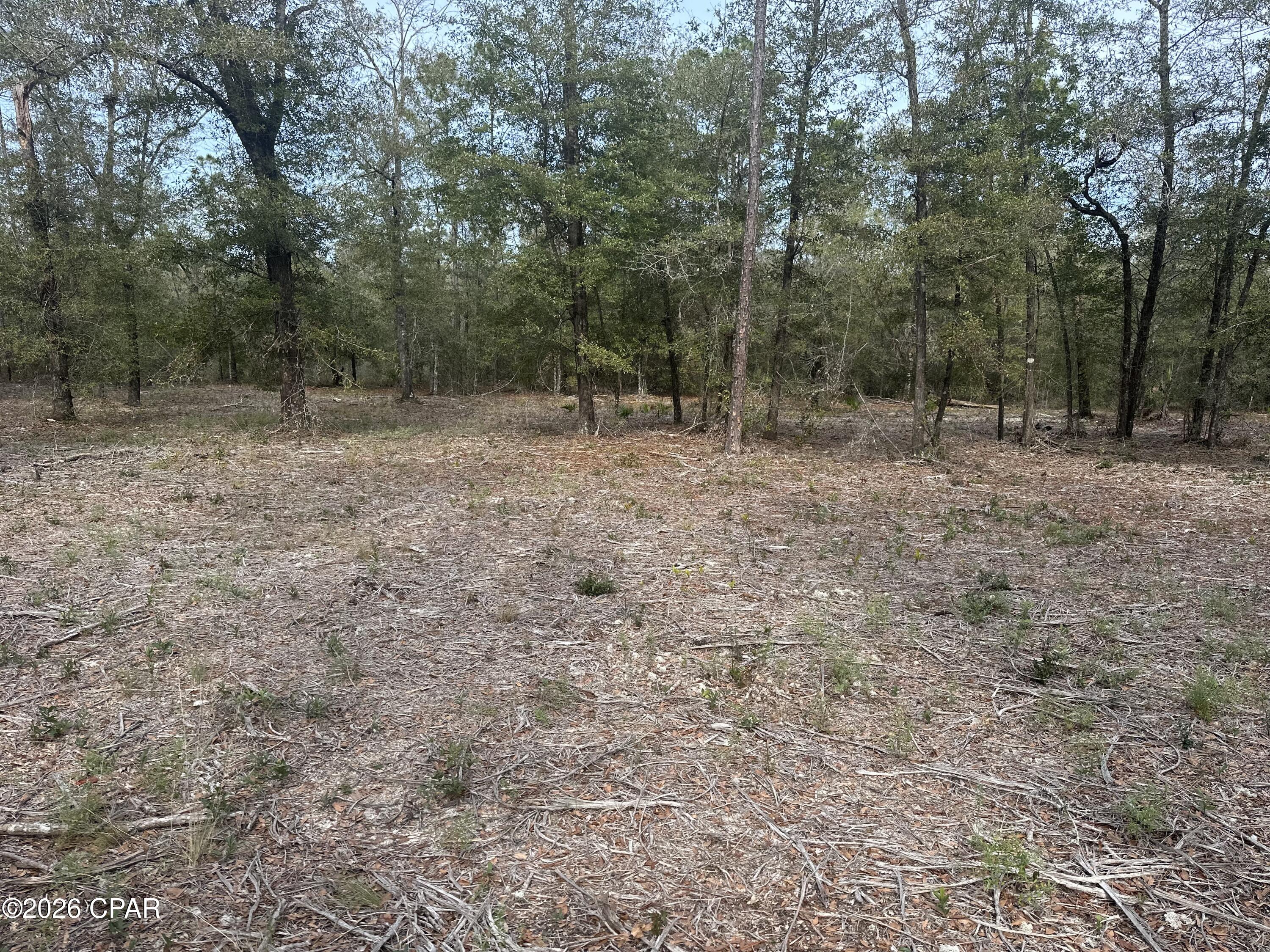 13111 Timbercrest Road Fountain, FL 32438 - Photo 4 of 9