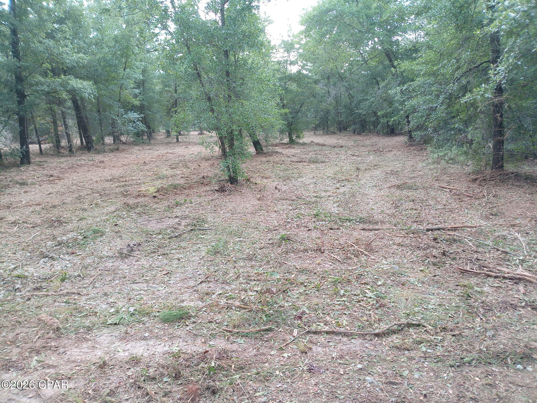 13111 Timbercrest Road Fountain, FL 32438 - Photo 6 of 9