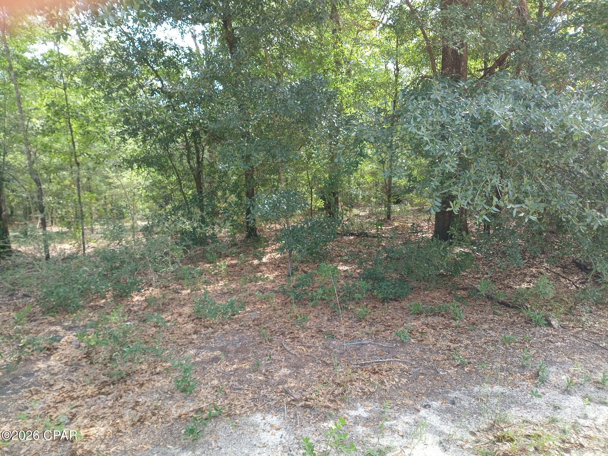 13111 Timbercrest Road Fountain, FL 32438 - Photo 7 of 9