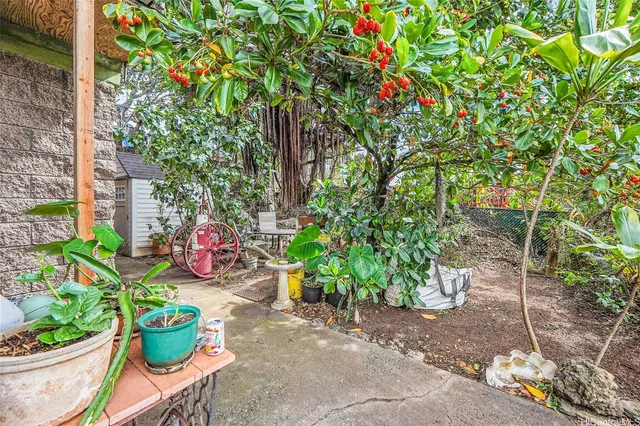 a view of a chair and table in a backyard