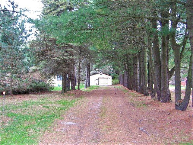 4824 Lakeshore Road Lexington, MI 48450 - Photo 25 of 26 Tree Lined Driveway leads to the Detached Garage