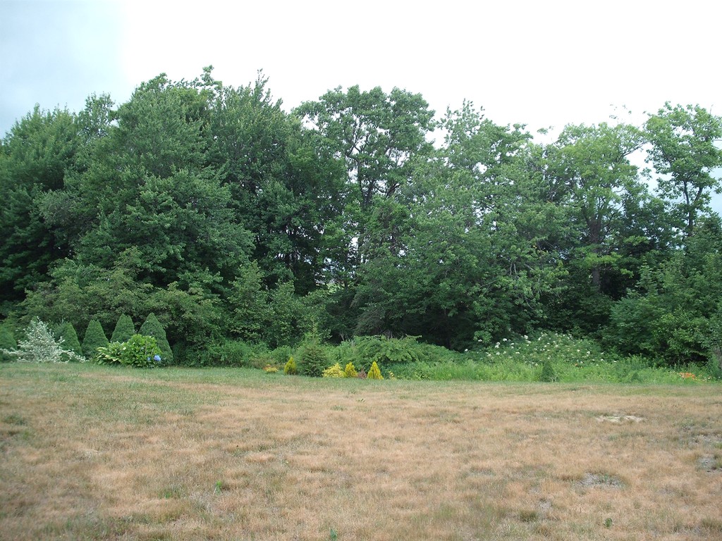 171 Maple Avenue Rutland, MA 01543 - Photo 5 of 25 a view of a field with trees in the background