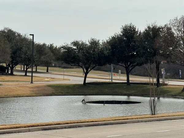 a view of backyard with green space
