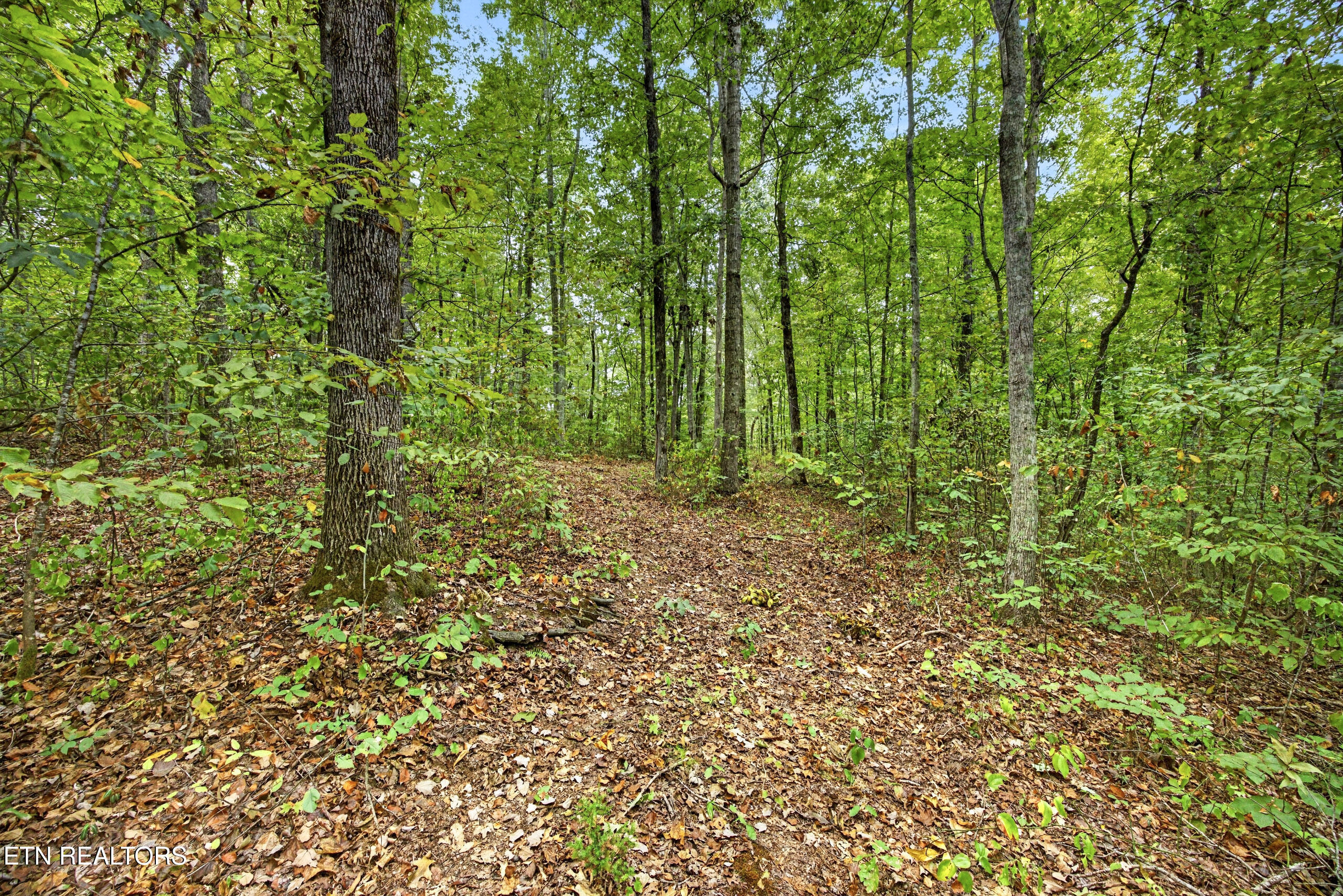 Lot 22 Timber Ridge Lane Celina, TN 38551 - Photo 7 of 12 7-8N5A6462