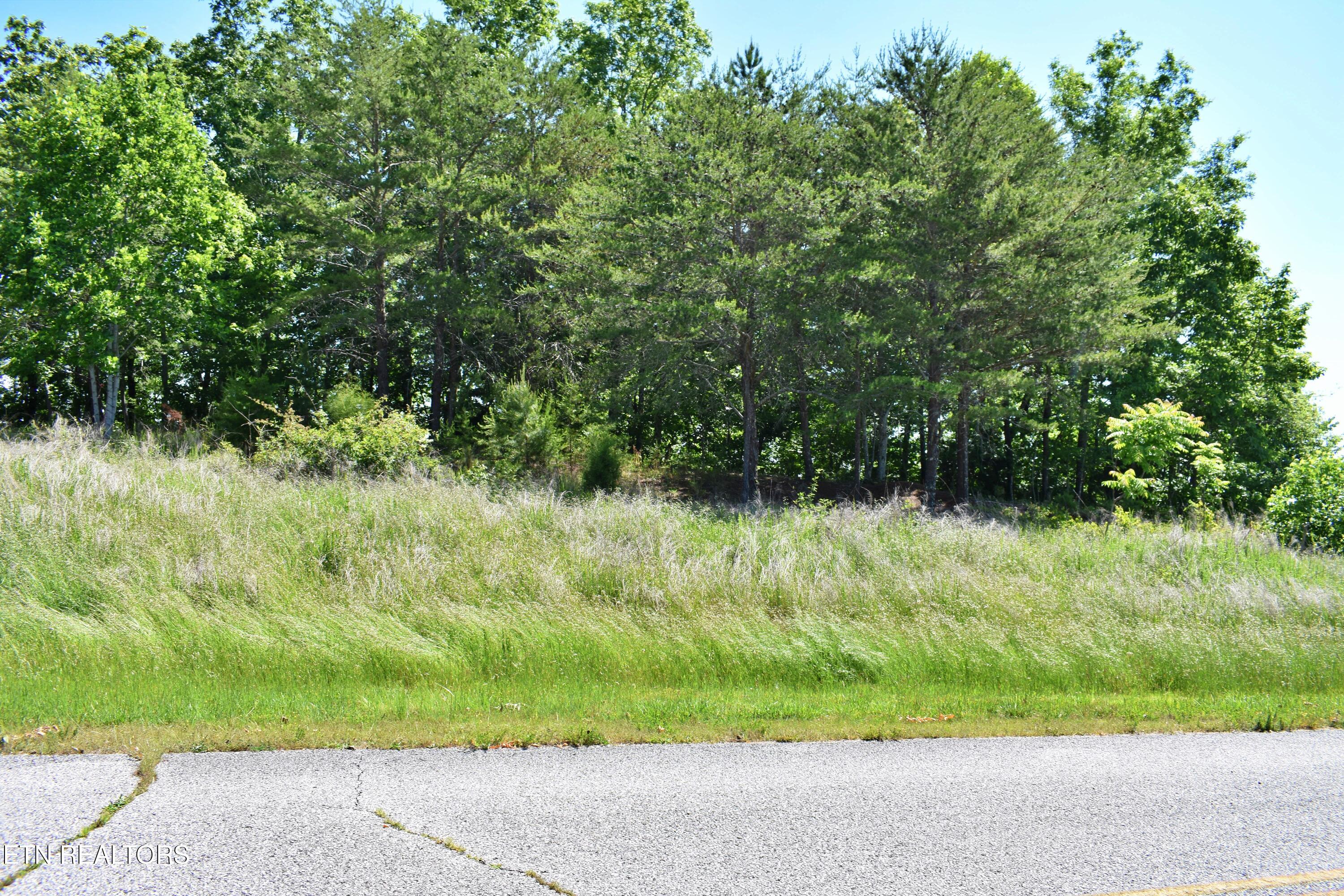 0 Flint Ridge Road Rockwood, TN 37854 - Photo 11 of 37 DSC_0642