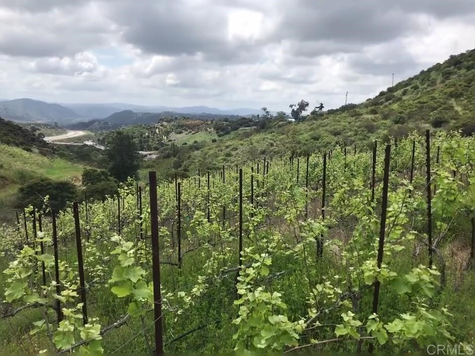 A East Mission Road Fallbrook, CA 92028 - Photo 1 of 1 a view of a green field with lots of bushes
