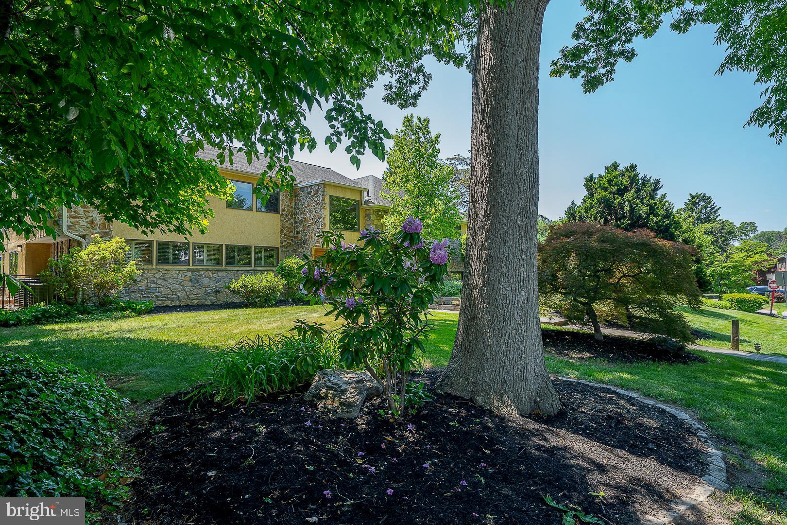 1436 Hillside Road Wynnewood, PA 19096 - Photo 3 of 42 Beautiful Mature Landscaping