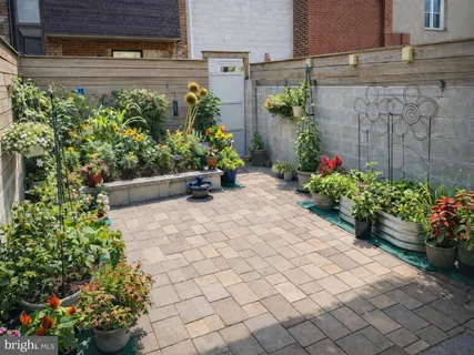 a view of a garden with flowers