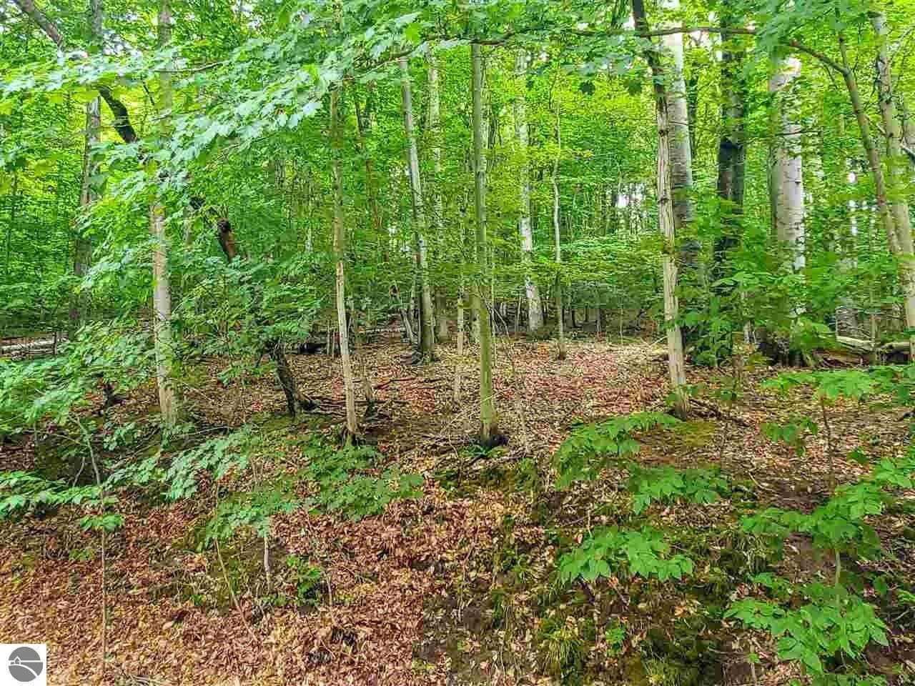 Lot 18 Spring Valley Road Beulah, MI 49617 - Photo 4 of 13
