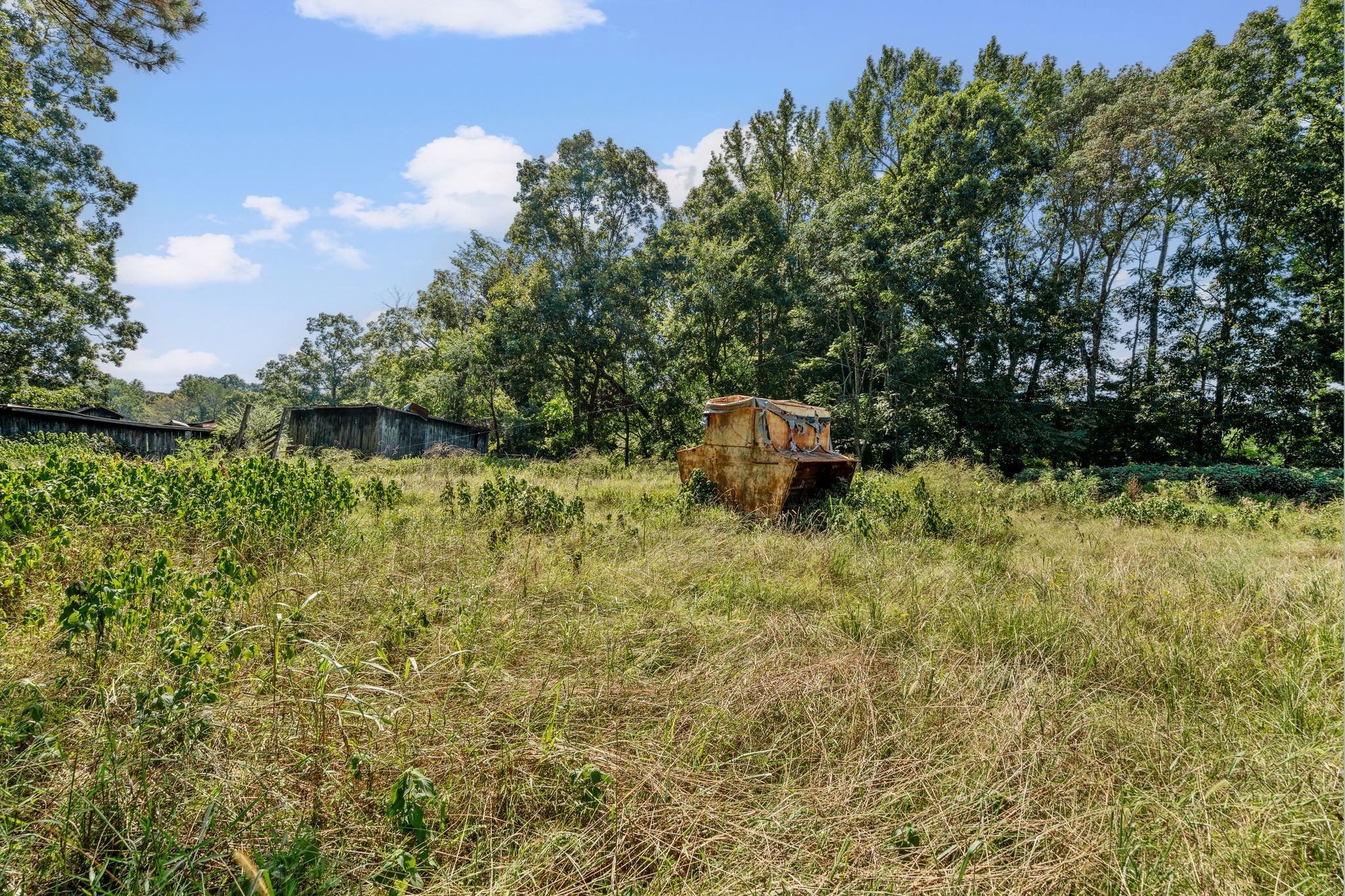 5295 Marion Road Cunningham, TN 37052 - Photo 29 of 33 a backyard of a house with lots of green space