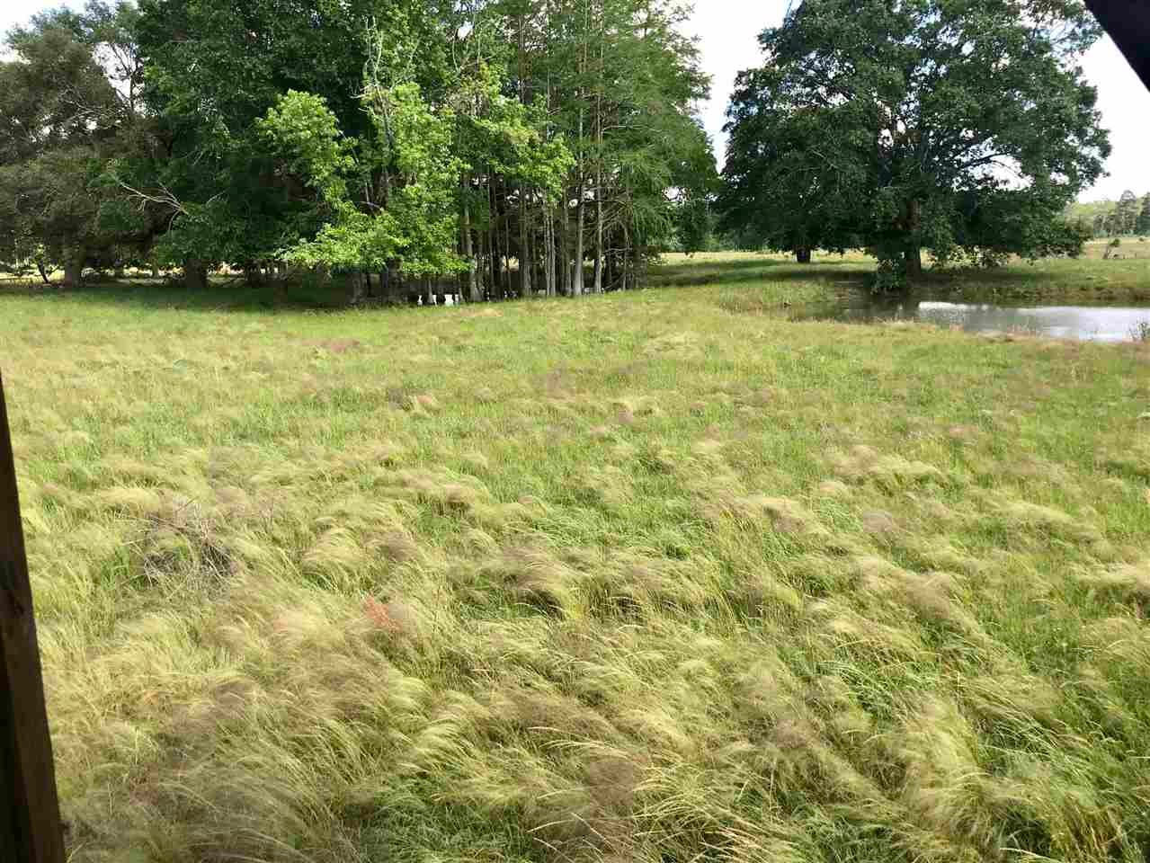 16709 Open Pond Road Florala, AL 36442 - Photo 2 of 19 Gallery Image 2