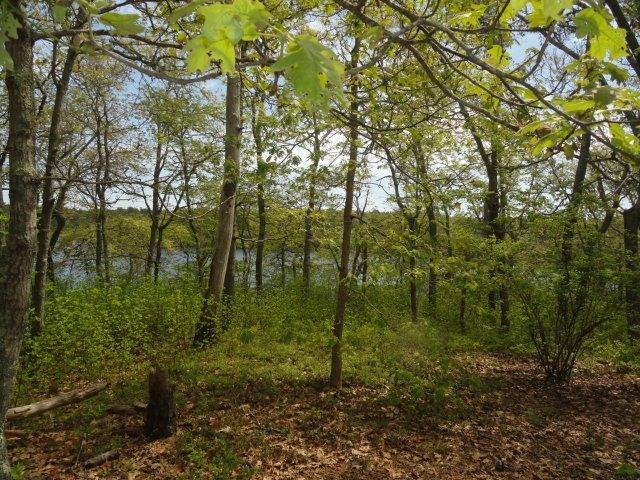 588 Queen Anne Road Harwich, MA 02645 - Photo 1 of 10 Primary Photo