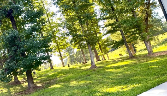 $1,099,000 | 835 Edgewater Way, Jasper, TN 37347